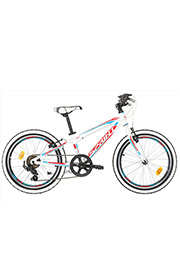 Велосипед детский SPRINT APOLON 20” /39157/